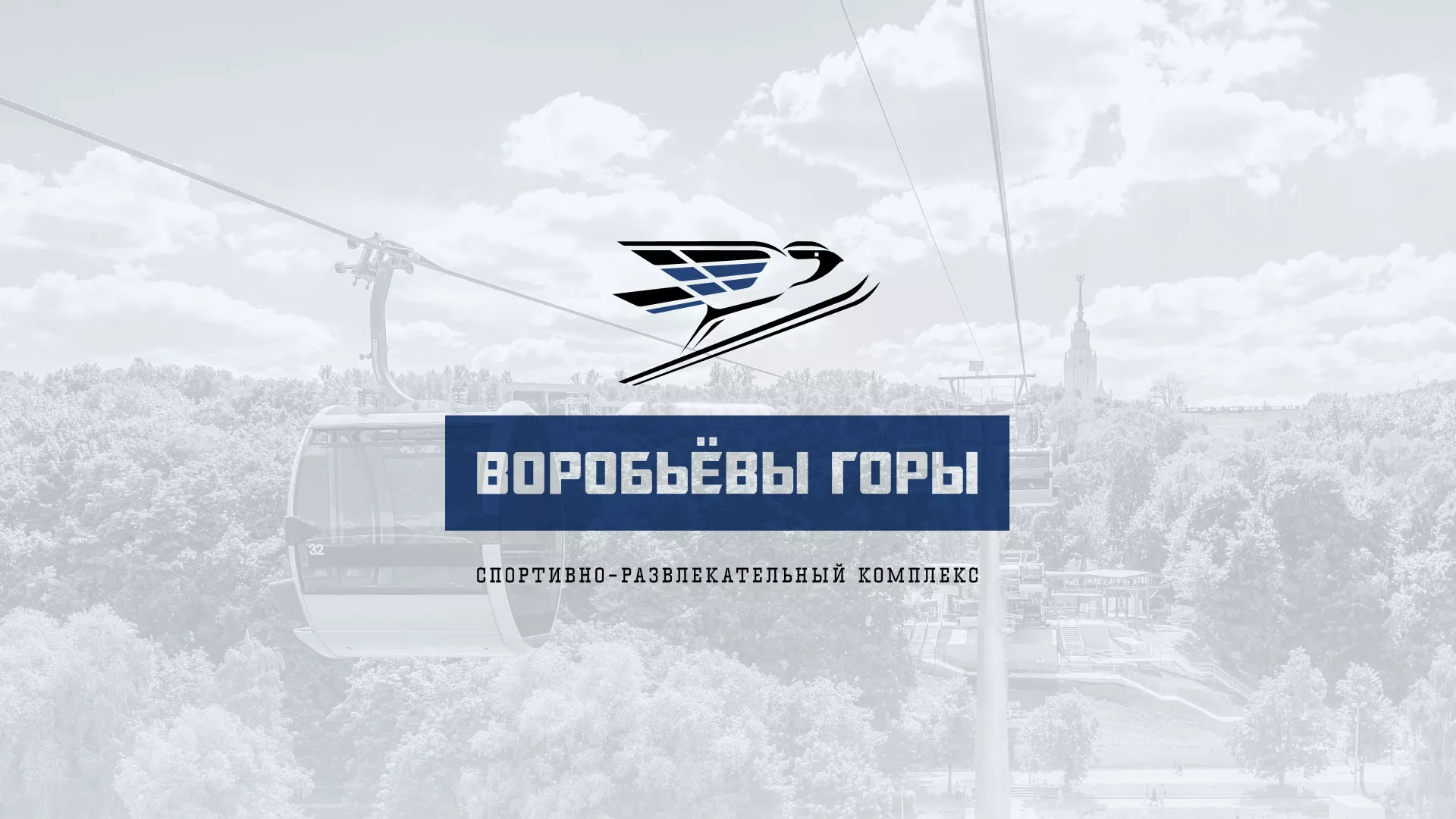 Разработка сайта в Козельске для спортивно-развлекательного комплекса «Воробьёвы горы»