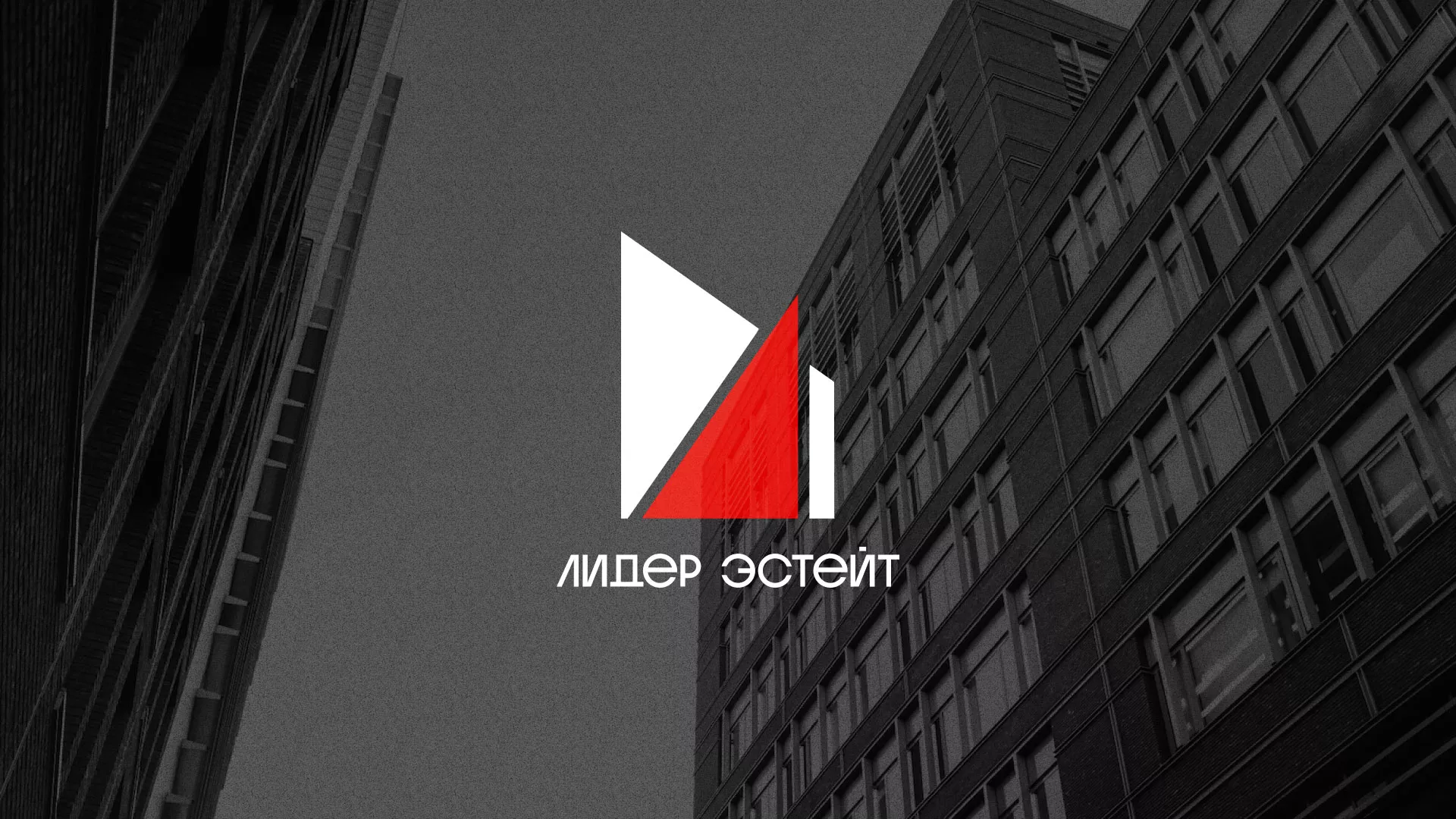 Сделали логотип для агентства недвижимости «Лидер Эстейт» в Козельске